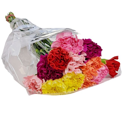 Flower Bouquet Assorted Carnation 1 Dozen Large