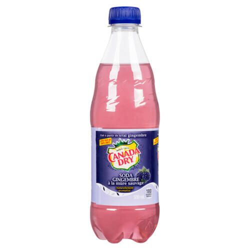 Canada Dry Soft Drink Ginger Ale Blackberry 500 ml (bottle)