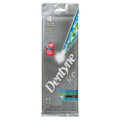 Dentyne Ice Sugar Free Gum Assorted 4 EA