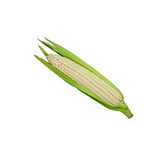 White Corn 1 Count