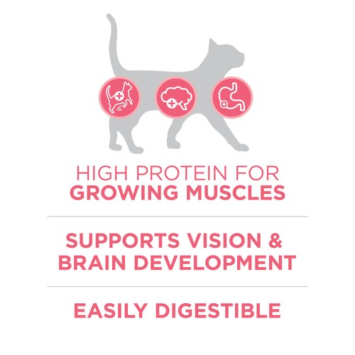 Purina ONE +Plus Dry Kitten Food Healthy Kitten Chicken 1.8 kg