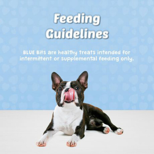 Blue Buffalo Bits Dog Treats Soft-Moist Savory Salmon Recipe 113 g