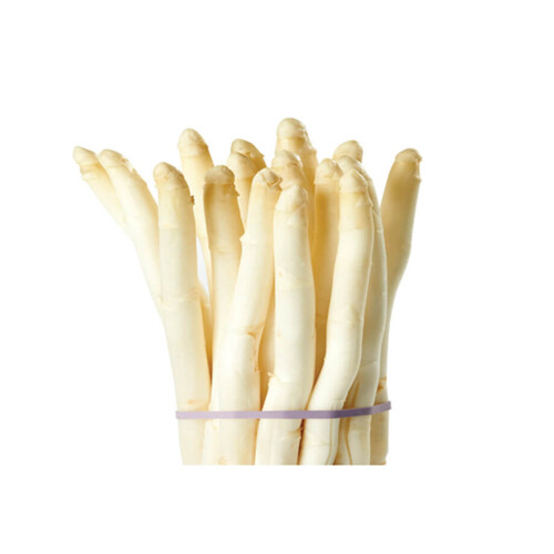 Large Asparagus White