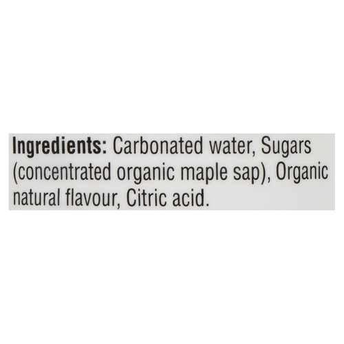 Sapsucker Sparkling Water Beverage The Orange One 355 ml (can)