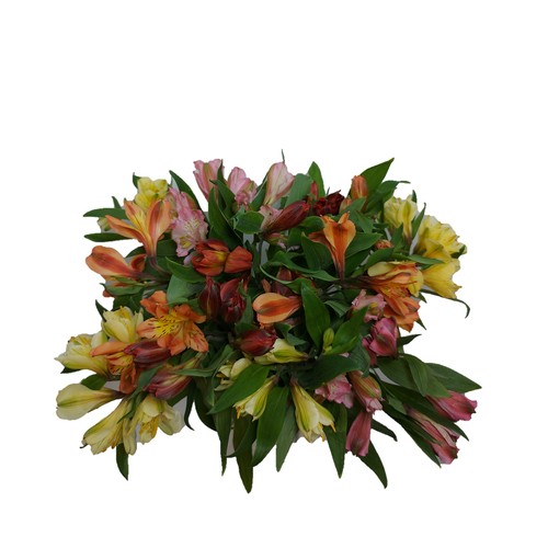 Flower Bouquet Rainbow Alstroemeria