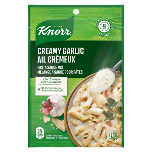 Knorr Recipe Pasta Sauce Mix Creamy Garlic For Creamy Pasta Sauce 37 g