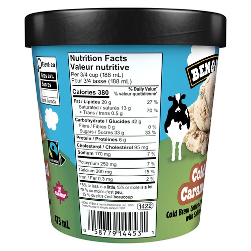 Ben & Jerry's Ice Cream Peanut Butter Cup 473 ml