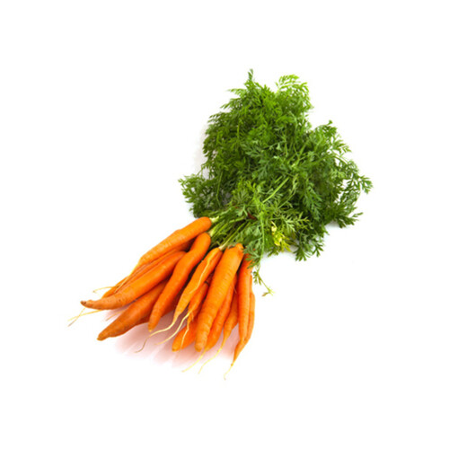 Organic Carrots 1 Bunch 