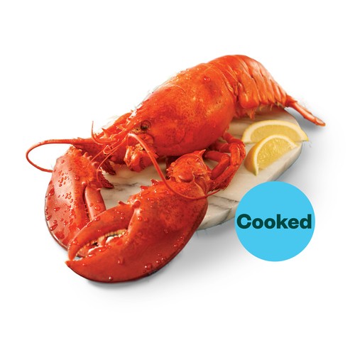 Store Cooked Market Lobster