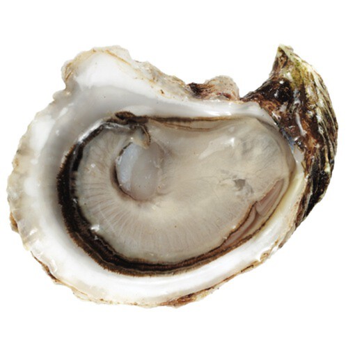 Ocean Wise Fresh Choice Oysters 6 Count 1 EA