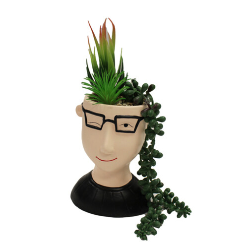 Splash Faux Succulent Floral Ceramic Man Head 1 Count