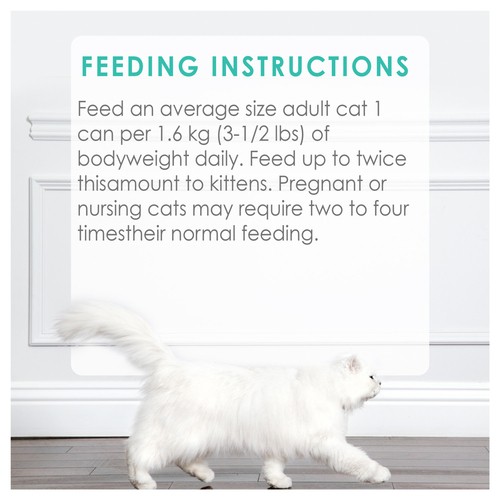 Fancy Feast Wet Cat Food Pâté Salmon Feast 85 g