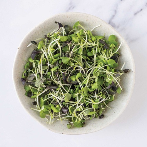 GoodLeaf Hero Greens Spicy Mustard Medley 50 g