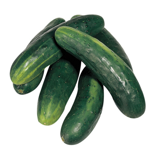 Organic Field Cucumber 1 Count