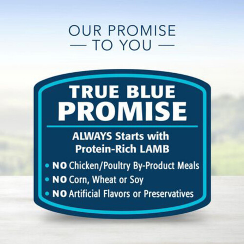 Blue Buffalo Dry Dog Food Large Breed Adult Life Protection Formula Lamb & Brown Rice 9.9 kg