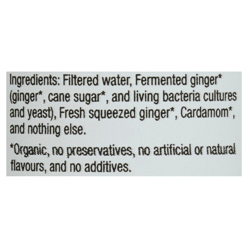 Gutsy Sparkling & Alive Beverage Ginger Beer 355 ml