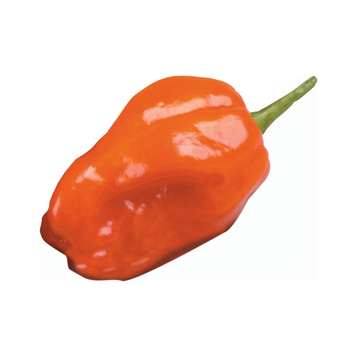 Habanero Pepper 3-4 Count