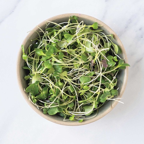 GoodLeaf Hero Greens Magic Micro Broccoli 50 g