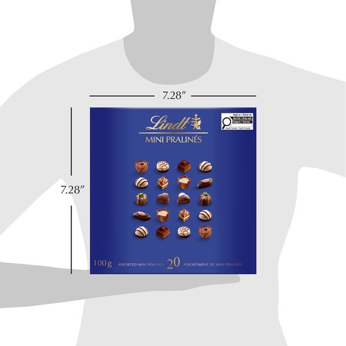 Lindt Chocolate Box Mini Praline Assorted 100 g