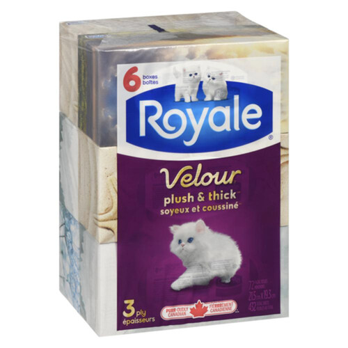 Royale Facial Tissue 3 Ply 6 Boxes