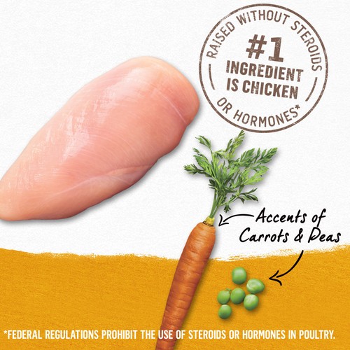 Beyond Ground Entre Wet Dog Food Chicken Carrot & Pea Recipe 368 g