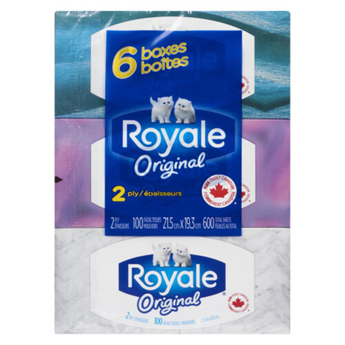 Royale Facial Tissue 100 Tissues 2 Ply 6 Boxes 
