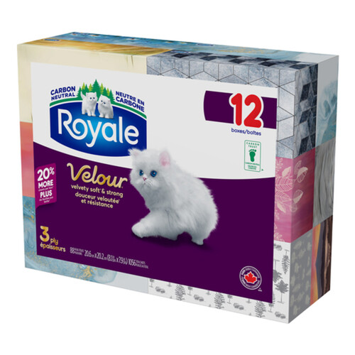 Royale Facial Tissue 3-Ply 12 Boxes x 88 Sheets