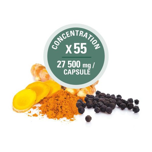 Léo Désilets Turmeric + Piperine Anti-Inflammatory & Digestion 27500 mg Capsules 30 Count