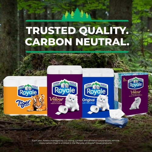 Royale Tiger Strong Paper Towel 6 Equal 12 Rolls 98 Sheets per Roll