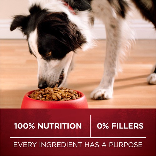 Purina ONE True Instinct Dry Dog Food Beef & Bison 6.8 kg