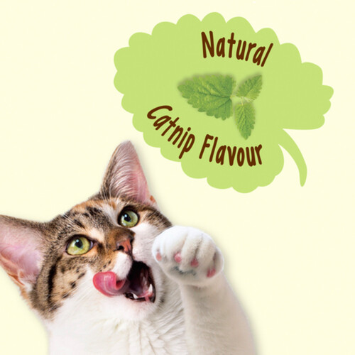 Friskies Party Mix Cat Treats  Naturals Natural Catnip Flavour  170 g