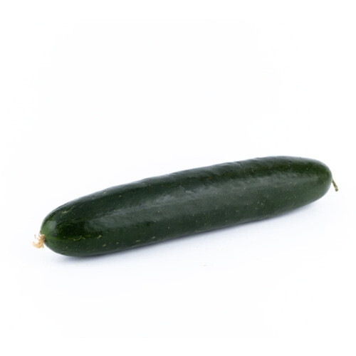 Field Cucumber 1 Count