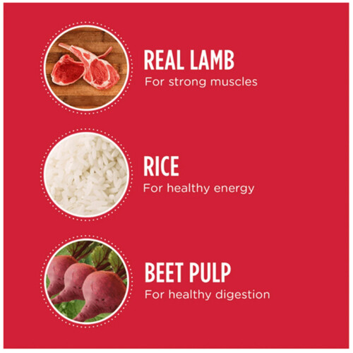 IAMS Proactive Health Adult Dry Dog Food Lamb And Rice 6.80 kg