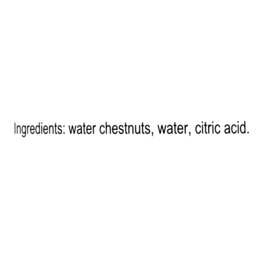 Dynasty Water Chestnuts Sliced 218 ml