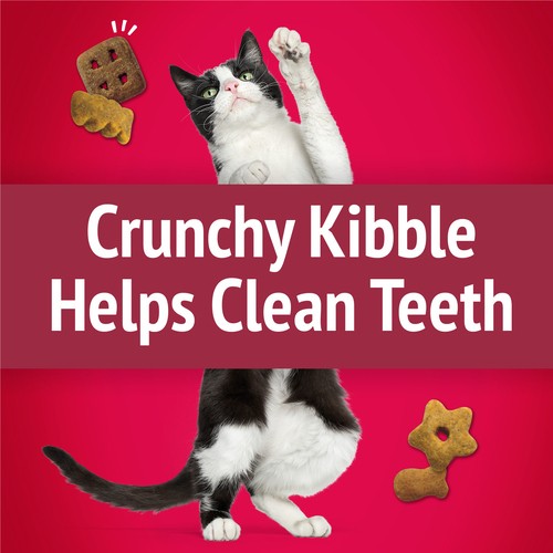 Friskies Cat Treats Party Mix Mixed Grill Crunch with Real Chicken 170 g