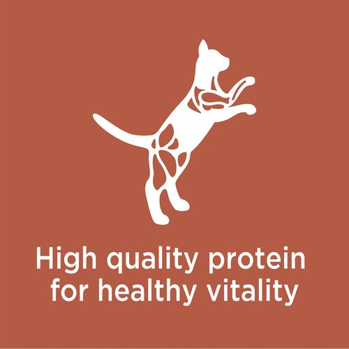 IAMS Proactive Health Adult Dry Cat Food High Protein Chicken & Salmon 1.36 kg