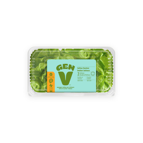 Gen V Butter Lettuce 2 Count