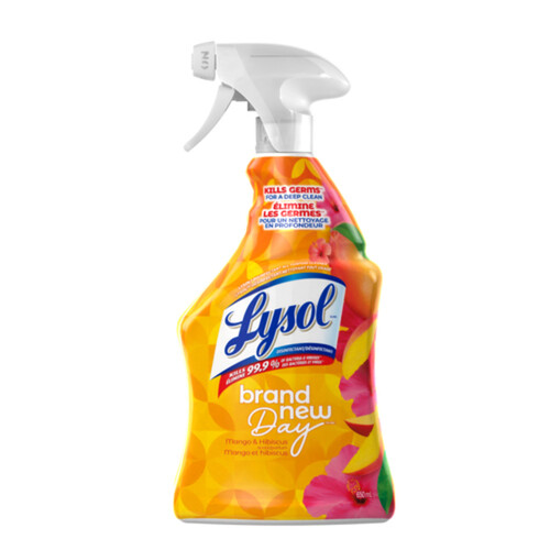 Lysol All Purpose Cleaner Mango & Hibiscus 650 ml