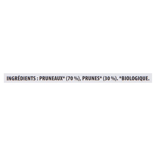 Bioitalia Organic Puree Plum 6 x 120 g