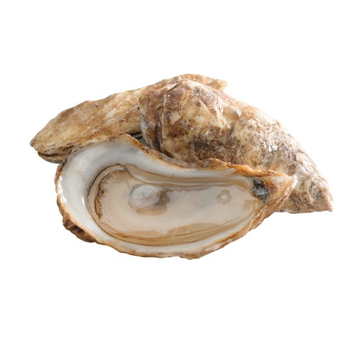 Oysters Ocean Wise Fresh King Kong 12 Count