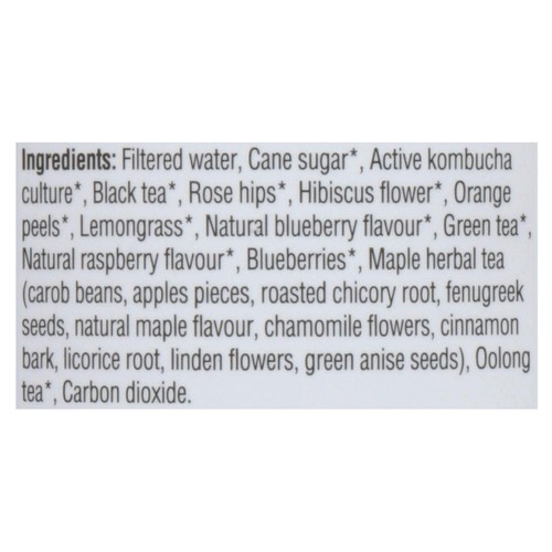 Rise Kombucha Organic Tea Blueberry Maple 1 L (bottle)