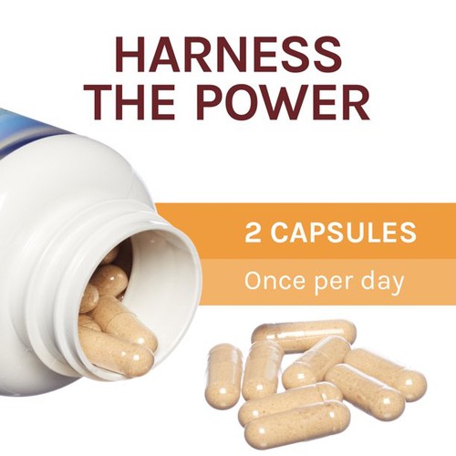 Host Defense Antioxidant & DNA Support Supplement 60 EA