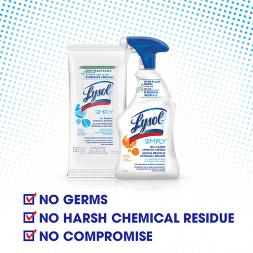 Lysol Simply Plant Based All-Purpose Cleaner 650 ml