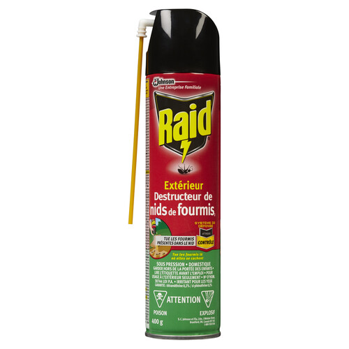 Raid Outdoor Ant Nest Destroyer Insect Killer Spray 400 g