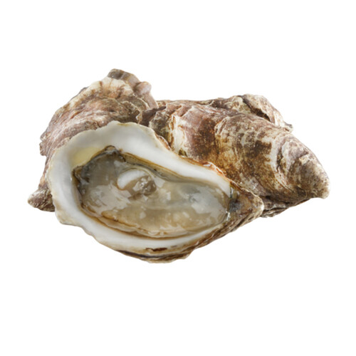 Ocean Wise Cocktail Oysters Cultivated Beau Soleil 