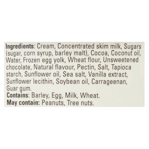 Ben & Jerry's Ice Cream Impretzively Fudged Core 473 ml
