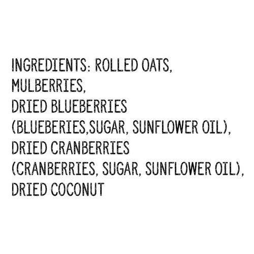 GORP Prairie Berries & Coconut Oatmeal Blends 1.1 KG