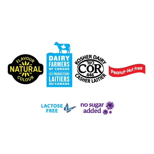Chapman's Lactose-Free No Sugar Added Ice Cream Vanilla 1 L
