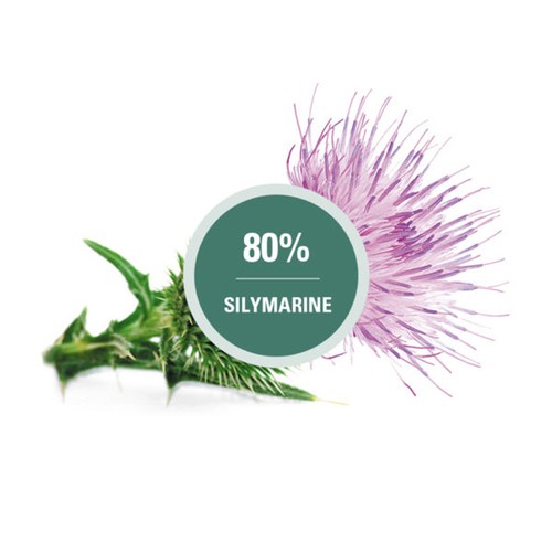 Léo Désilets Detox Milk Thistle 250 mg Capsules 90 Count