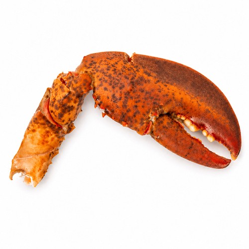 Compliments Frozen Wild Lobster Claws New Brunswick 454 g